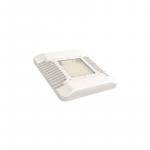 LeuchTek CG-100W-NW LED-Ceiling   131676 