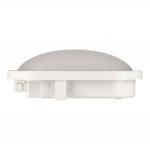 BAIL LED Bulkhead Basic 12W 4000K 142176 