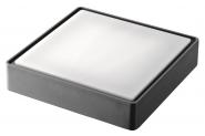 mlight LED-Deckenleuchte RIKA    81-3024 