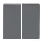 BJ FoH-Bedienelement 2fach   6736 FoH-81 