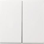 GIRA 029503 Wippe 2fach System 55 