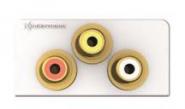 KIND Konnect design click ws  7456000530 