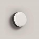 BEGA Wandleuchte Grafit   3000 K 24894K3 