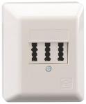 RB Anschlussdose  TAE2x6/6NFF/AP/RW 