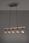 Trio Pendelleuchte EINAR, 5x   R30605032 