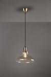 Trio Pendelleuchte ALDO,1x E27 R30731004 
