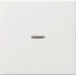 GIRA 029003 Wippe Kontrollfenster 