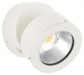 Albert Wand-und Deckenstrahler    682389 