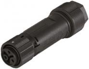 Wieland              RST16I3 S B1 ZT3 SW 