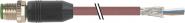 Murrelektronik M12 St 7000-13105-8030100 