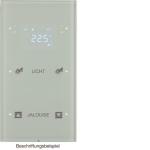 Berker Touchsensor 2fach        75642150 