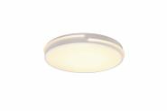Trio LED-Deckenleuchte TACOMA  R62241131 