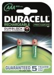 Duracell     D800AAA2B-PRECHARGED 203815 