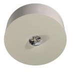 RP Sicherheitsleuchte-Leuchte  ILDL423WL 
