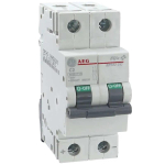 AEG Leitungsschutzschalter 2A  EP102UCC2 