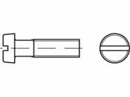 Reyher Flachkopfschraube 500Stk. 