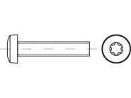 Reyher Linsenschrauben M5x20mm-T25 