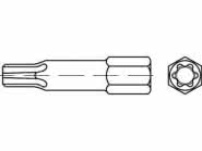 Reyher Bits TORX 15, 10 Stück im Beutel 