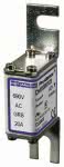 Mersen Sicherungseinsatz    DN000GB69V25 