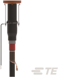 Rayc Stecker gerade Typ A    RSSS-525B-E 