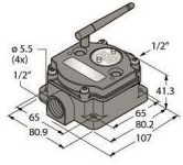 Turck Funkübertragungs-    DX80N2X6S-PM2 