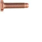 ELCOM Schraube Spezial ZY M5x25  REH128Y 