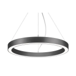 Brumberg LED-Pendel-Ringl.      13545183 