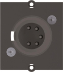 Bachmann Rahmen XLR 5pol Buchse  917.101 