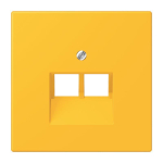 Jung Abdeckung              LC969-2UA263 