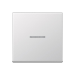 JG Wippe Kontroll 1-fach A590KO5AL 