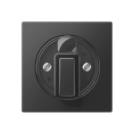 Jung Abdeckung             A 1541 BF SWM 