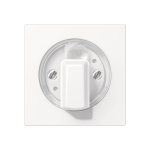 Jung Abdeckung             A 1541 BF WWM 