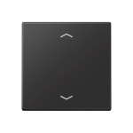 Jung Wippe                A 101 P BF SWM 