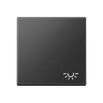 Jung Wippe 1fach Symbol      A 590 L SWM 