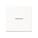 JG Wippe Kontroll 1-fach A590KO5WW 