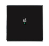 BJ Wippe 1-fach,Symbol Szene  6233-10-81 