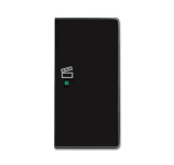 BJ Wippe rechts 2-fach,Symbol 6233-22-81 