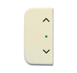 BJ Wippe 2-fach Symbol Licht 6232-20-212 