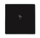 BJ Wippe 1-fach,Symbol Dimmer 6234-10-81 