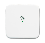 BJ Wippe 1-fach Symbol Licht 6234-10-214 