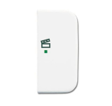 BJ Wippe 2-fach Symbol Licht 6233-22-214 