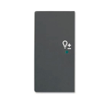 BJ Wippe/L 2f Dimmer schwarz 6234-21-885 