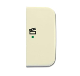 BJ Wippe 2-fach Symbol Licht 6233-22-212 