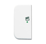 BJ Wippe 2-fach Symbol Licht 6233-21-214 