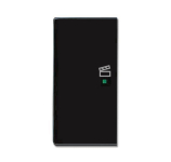 BJ Wippe links 2-fach,Symbol  6233-21-81 