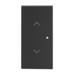 BJ Wippe 2-fach m.Symbol     6232-20-45M 