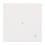 BJ Wippe 1-fach m.Symbol     6231-10-44M 