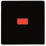 BJ UPWG Allwetter Wippe Kontroll 2107-31 