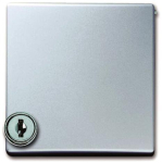 BJ Zwischenring m.Klapp-    2118 GKSL-33 