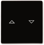 BJ UPWG Allwetter Wippe Jalousie 2126-31 